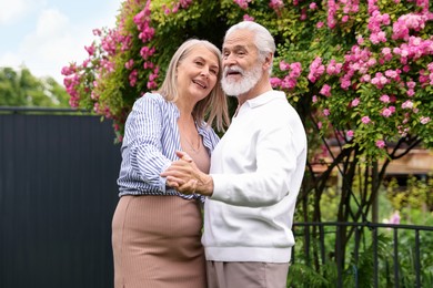 Photo of Lovely senior couple dancing near bush of pink roses outdoors