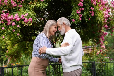 Photo of Lovely senior couple near bush of pink roses outdoors