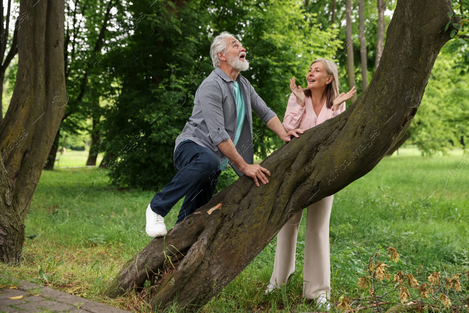Lovely senior couple near tree in park Photo of Lovely senior couple near tree in park