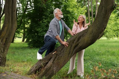 Photo of Lovely senior couple near tree in park