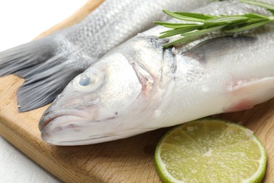 Photo of Fresh raw seabass with spices on white table, closeup. Fish and seafood delicacies