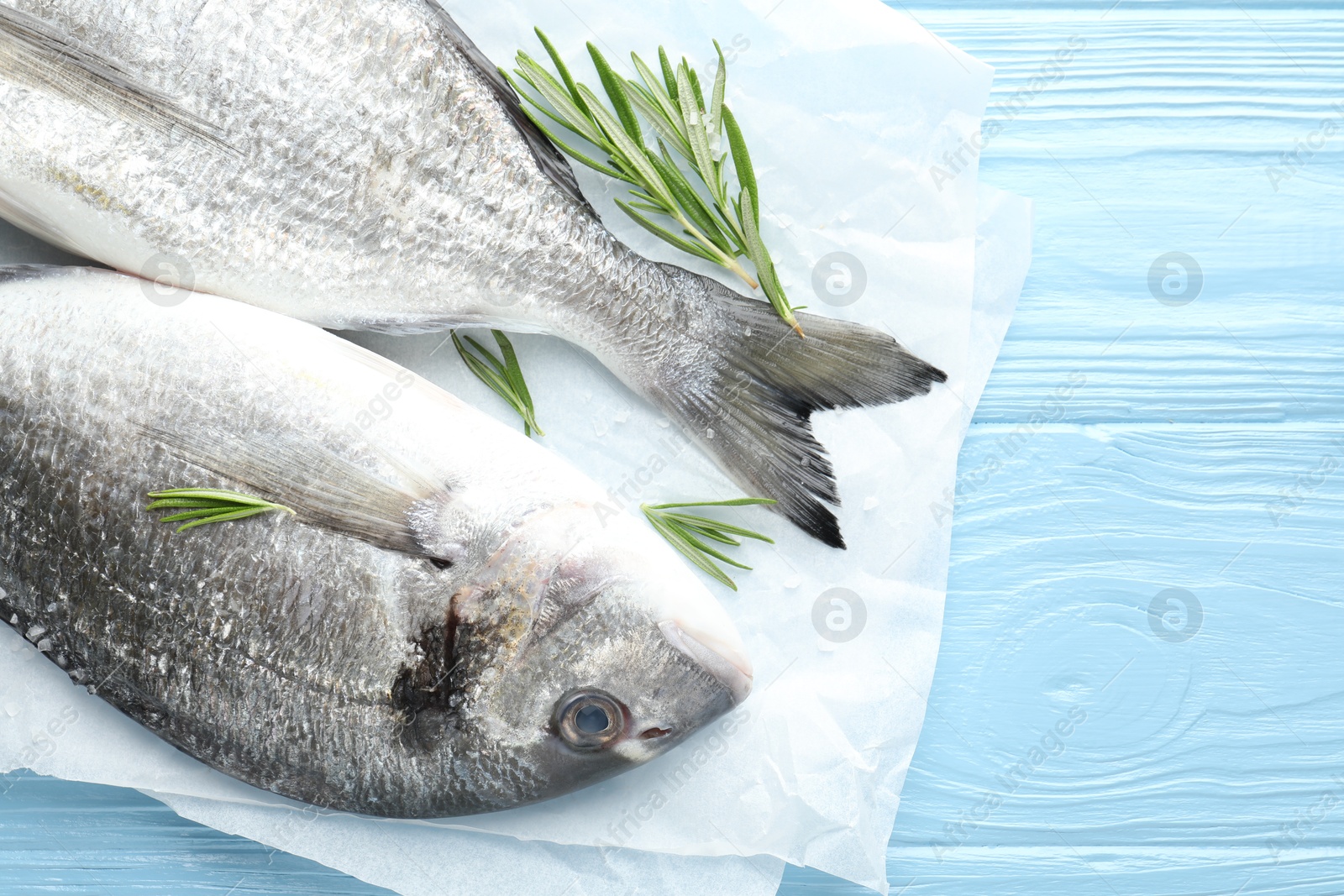 Fresh raw dourade with spices on blue wooden table, top view. Fish and seafood delicacies Photo of Fresh raw dourade with spices on blue wooden table, top view. Fish and seafood delicacies