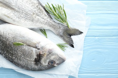 Photo of Fresh raw dourade with spices on blue wooden table, top view. Fish and seafood delicacies