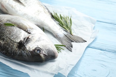 Photo of Fresh raw dourade with spices on blue wooden table, closeup. Fish and seafood delicacies