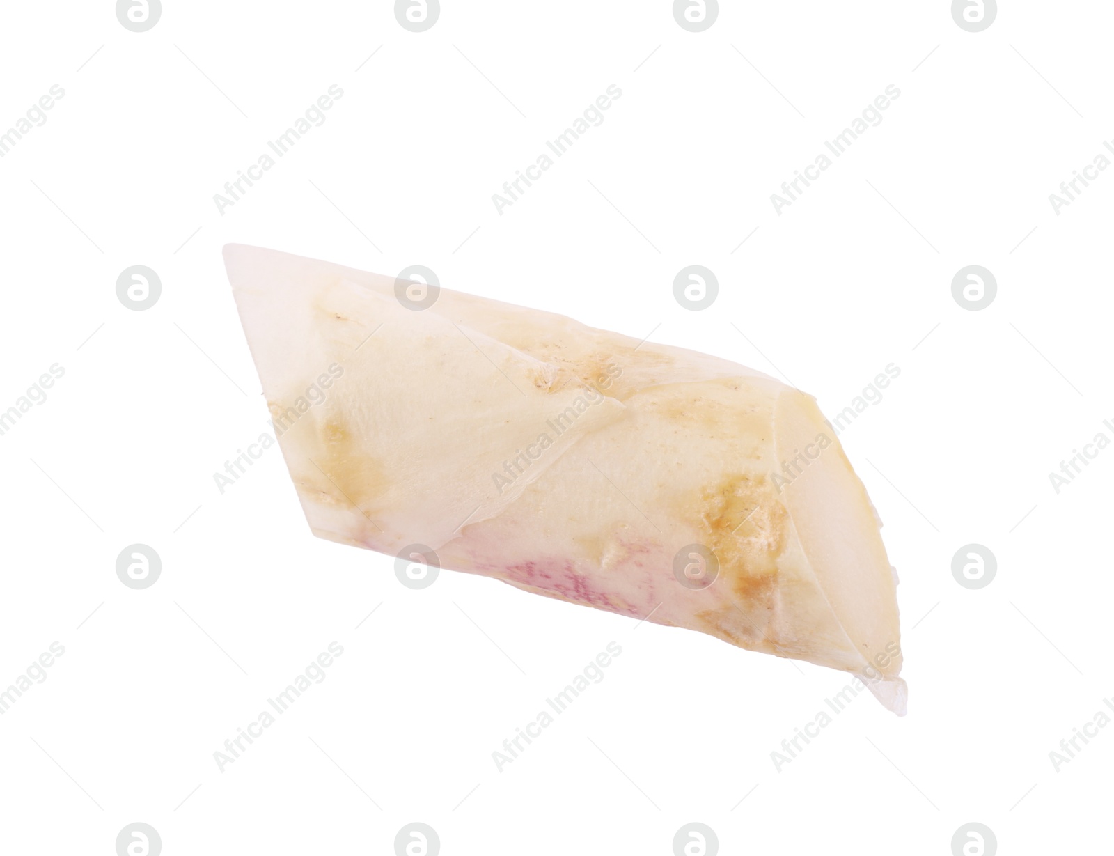 Piece of raw asparagus spear isolated on white Photo of Piece of raw asparagus spear isolated on white