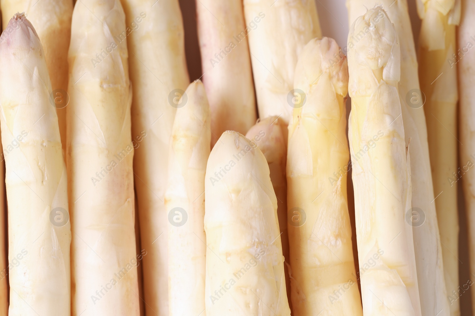 Raw white asparagus spears as background, closeup Photo of Raw white asparagus spears as background, closeup