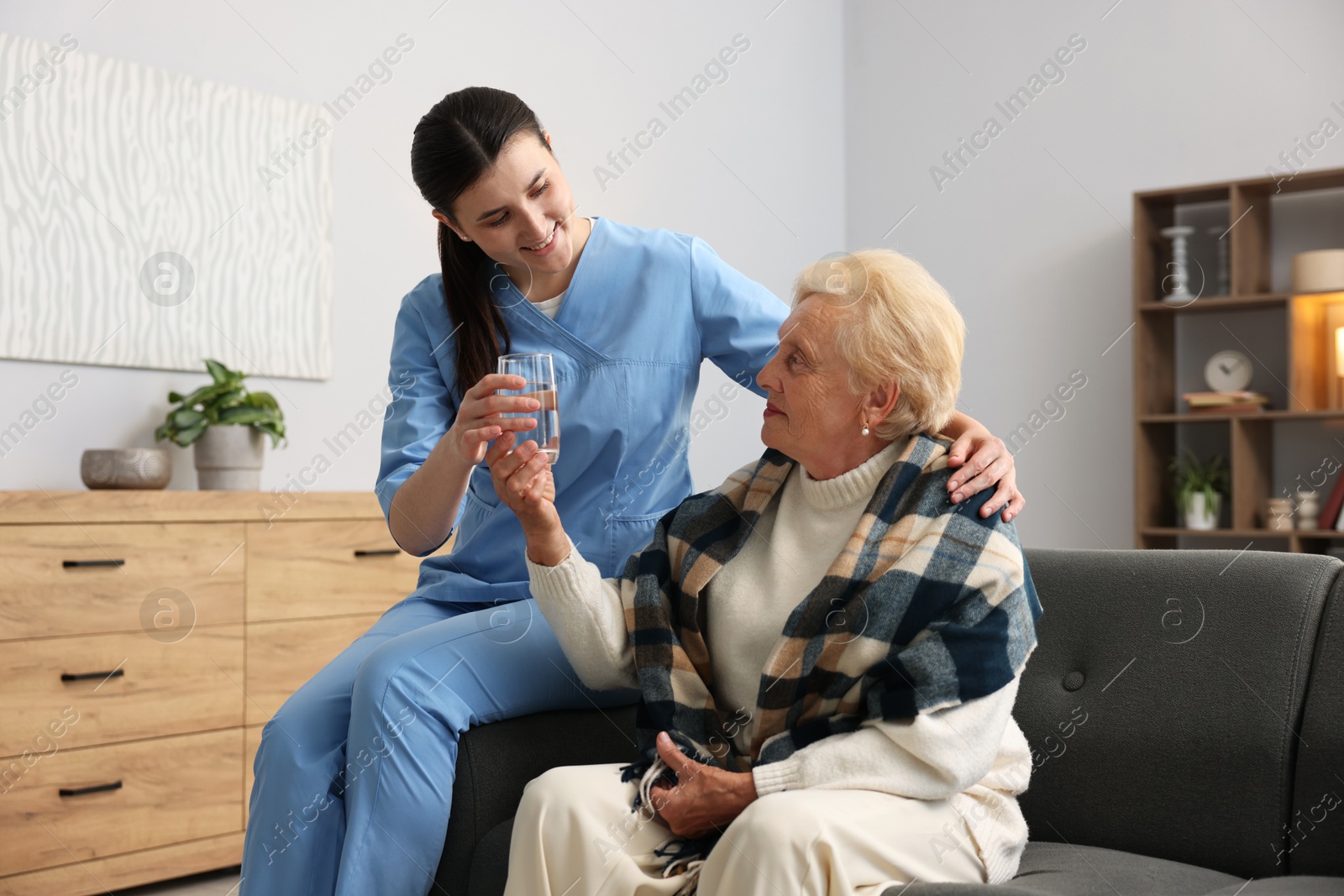 Nurse giving water to senior woman on sofa indoors. Home health care service Photo of Nurse giving water to senior woman on sofa indoors. Home health care service