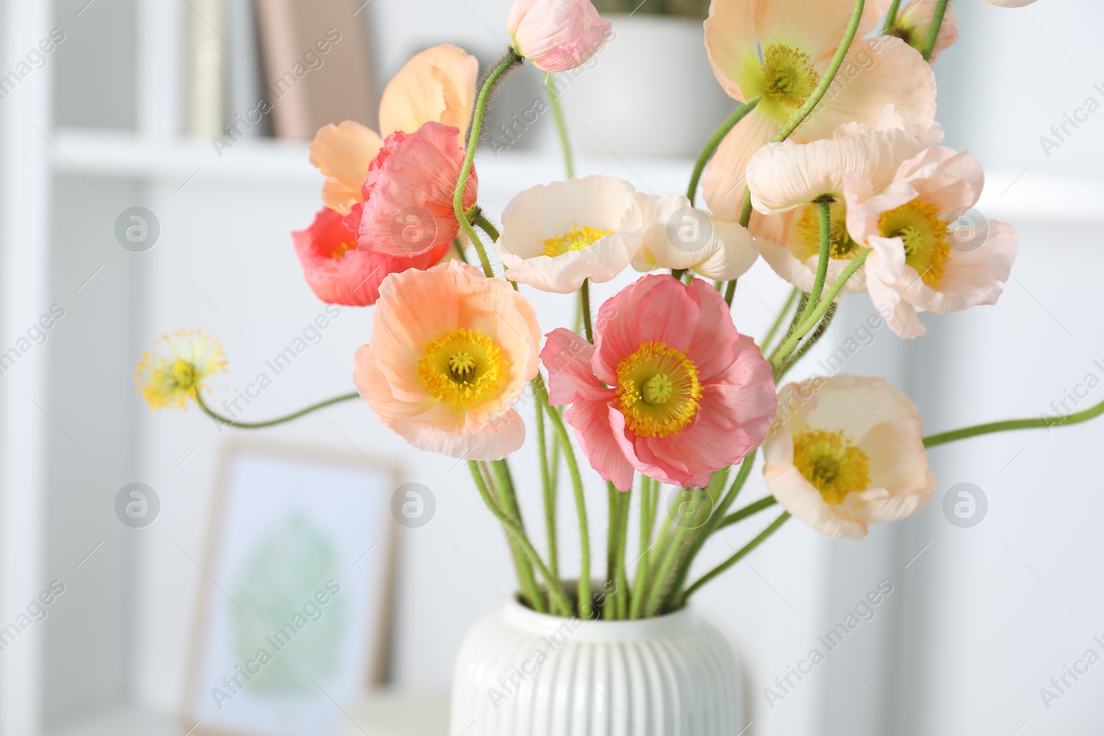 Bouquet of beautiful poppy flowers indoors, closeup Photo of Bouquet of beautiful poppy flowers indoors, closeup