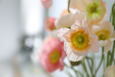 Photo of Bouquet of beautiful poppy flowers indoors, closeup. Space for text
