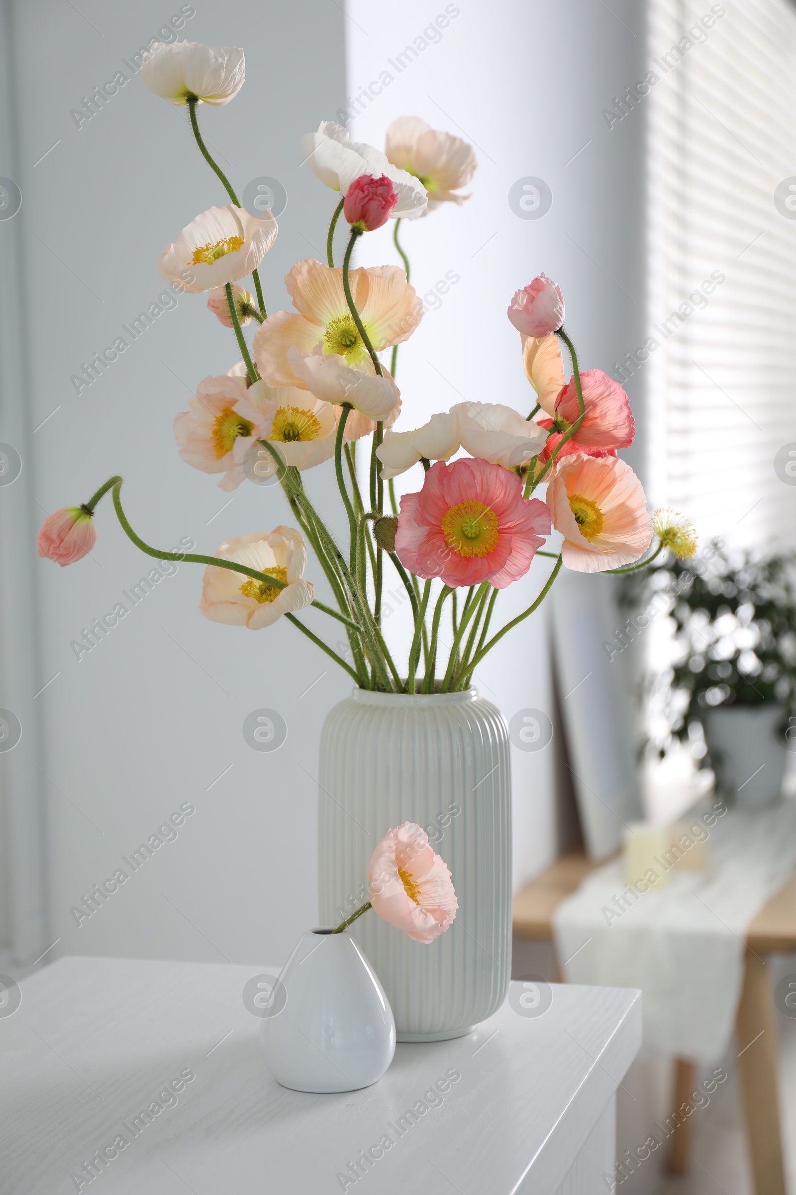 Beautiful poppy flowers on white table indoors Photo of Beautiful poppy flowers on white table indoors