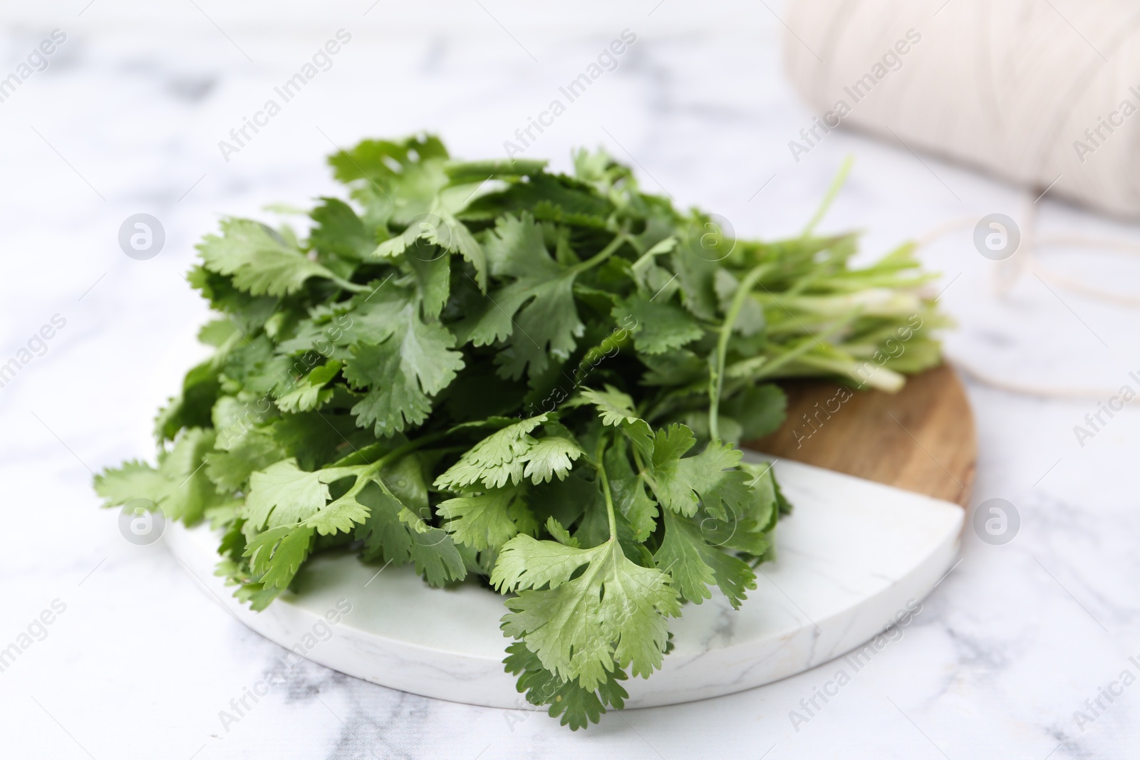 Fresh aromatic cilantro, cutting board and thread on white marble table, closeup Photo of Fresh aromatic cilantro, cutting board and thread on white marble table, closeup