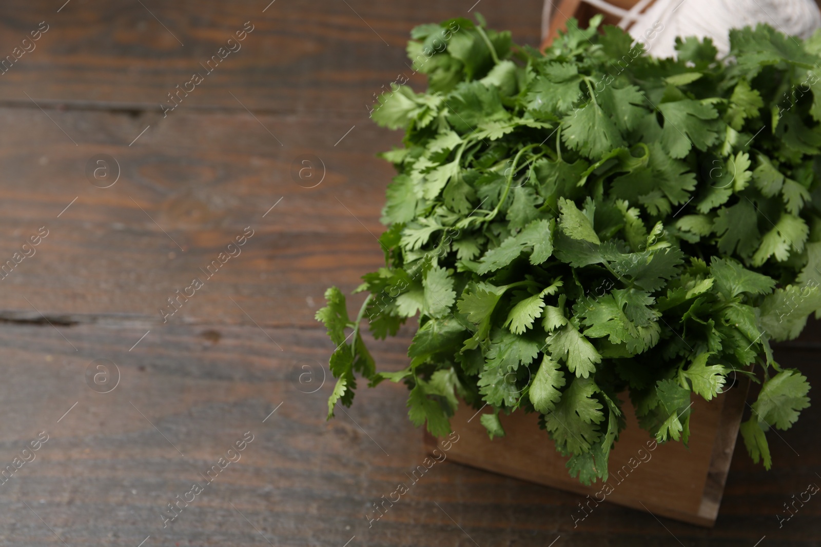 Fresh aromatic cilantro in crate on wooden table, closeup. Space for text Photo of Fresh aromatic cilantro in crate on wooden table, closeup. Space for text