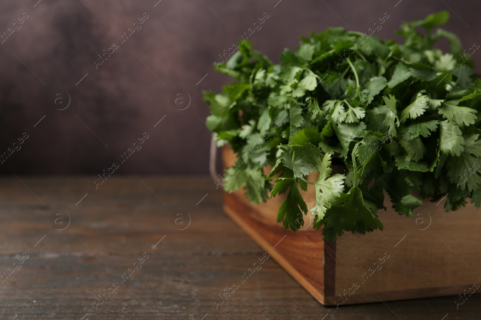 Fresh aromatic cilantro in crate on wooden table, closeup. Space for text Photo of Fresh aromatic cilantro in crate on wooden table, closeup. Space for text