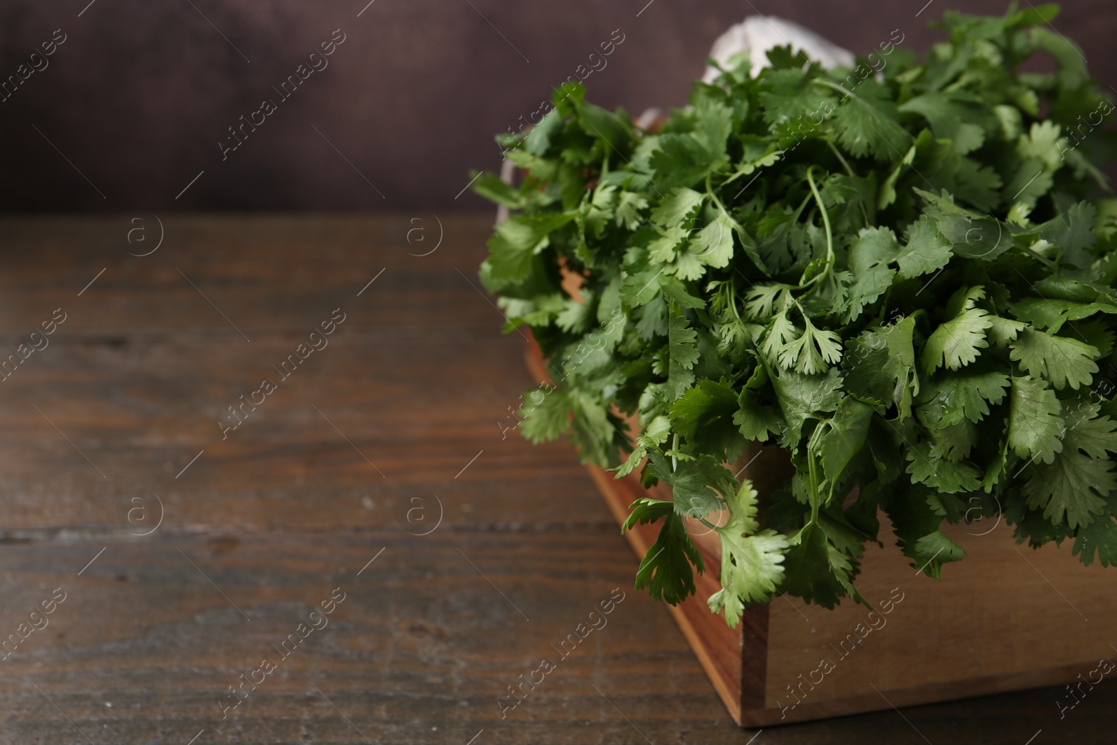 Fresh aromatic cilantro in crate on wooden table, closeup. Space for text Photo of Fresh aromatic cilantro in crate on wooden table, closeup. Space for text