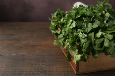 Photo of Fresh aromatic cilantro in crate on wooden table, closeup. Space for text
