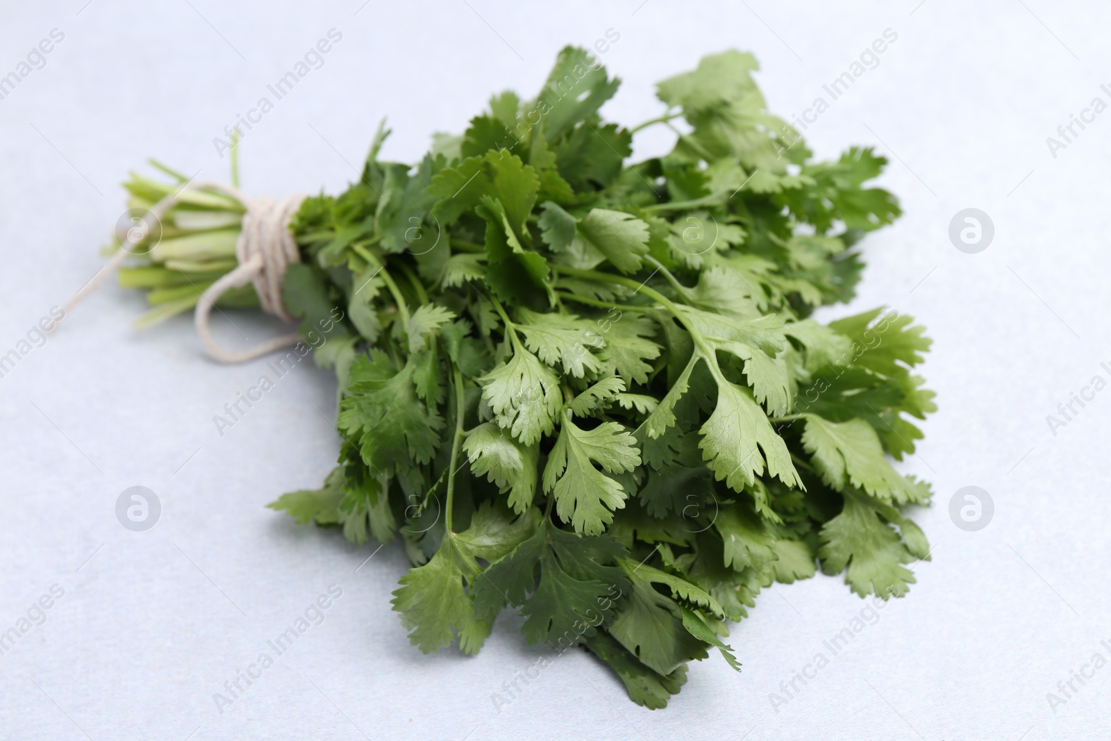 Bunch of fresh aromatic cilantro on white table, closeup Photo of Bunch of fresh aromatic cilantro on white table, closeup