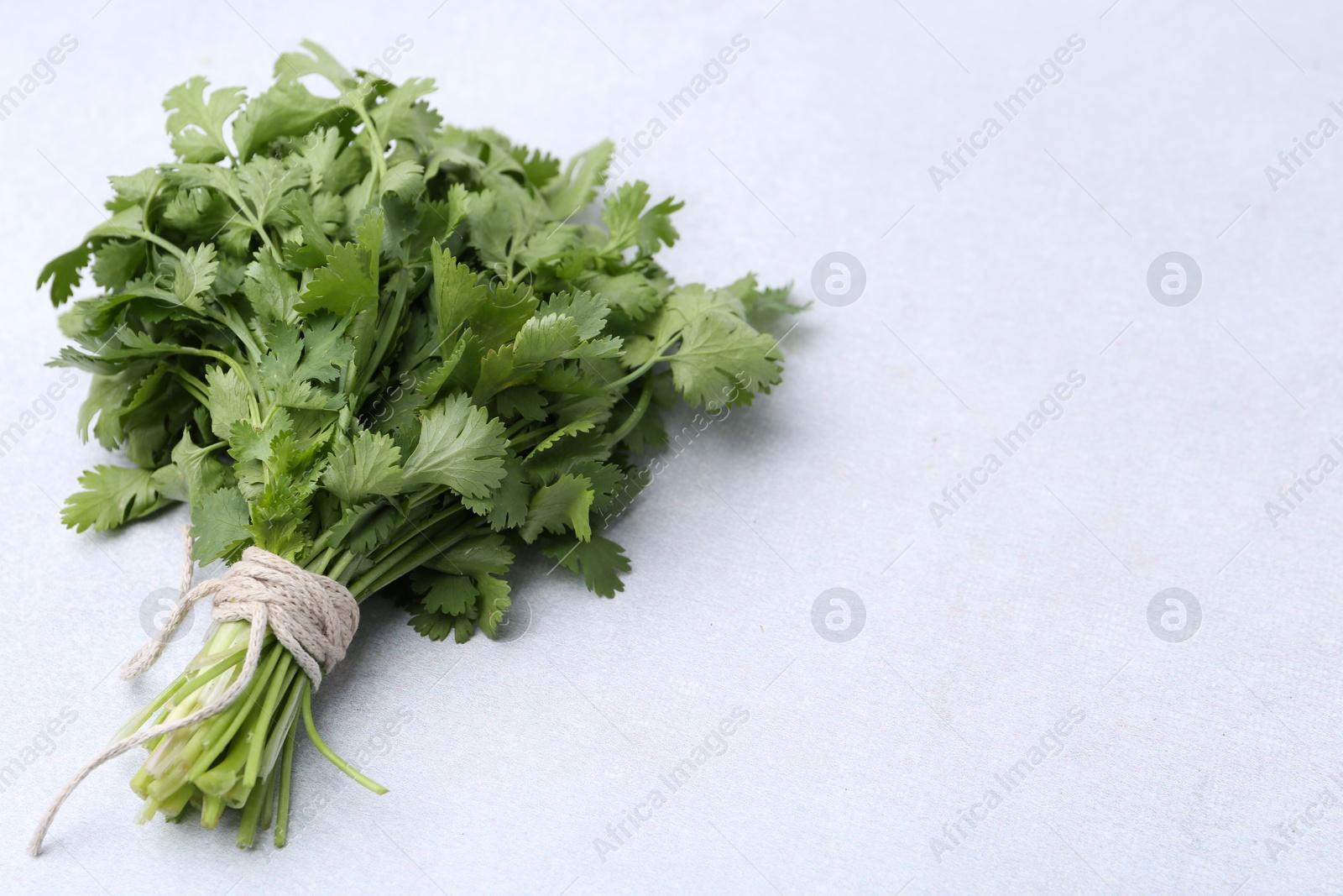 Bunch of fresh aromatic cilantro on white table. Space for text Photo of Bunch of fresh aromatic cilantro on white table. Space for text