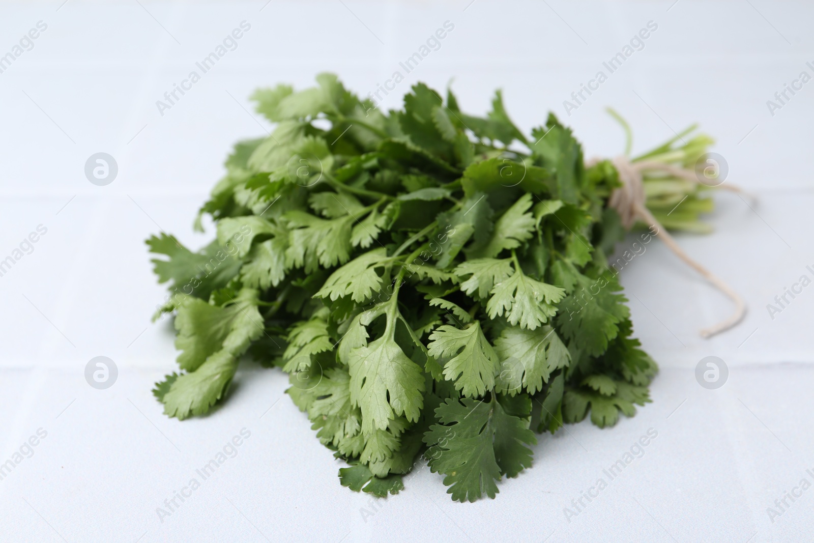 Bunch of fresh aromatic cilantro on white tiled table, closeup Photo of Bunch of fresh aromatic cilantro on white tiled table, closeup