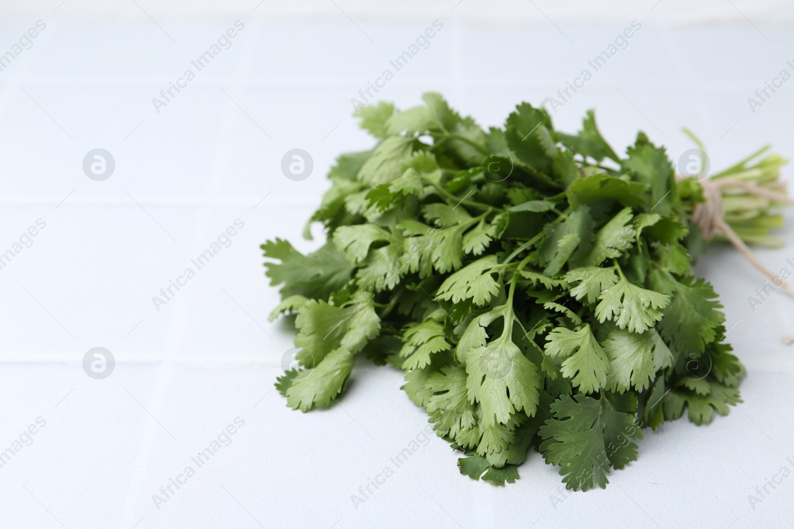 Bunch of fresh aromatic cilantro on white tiled table, closeup. Space for text Photo of Bunch of fresh aromatic cilantro on white tiled table, closeup. Space for text