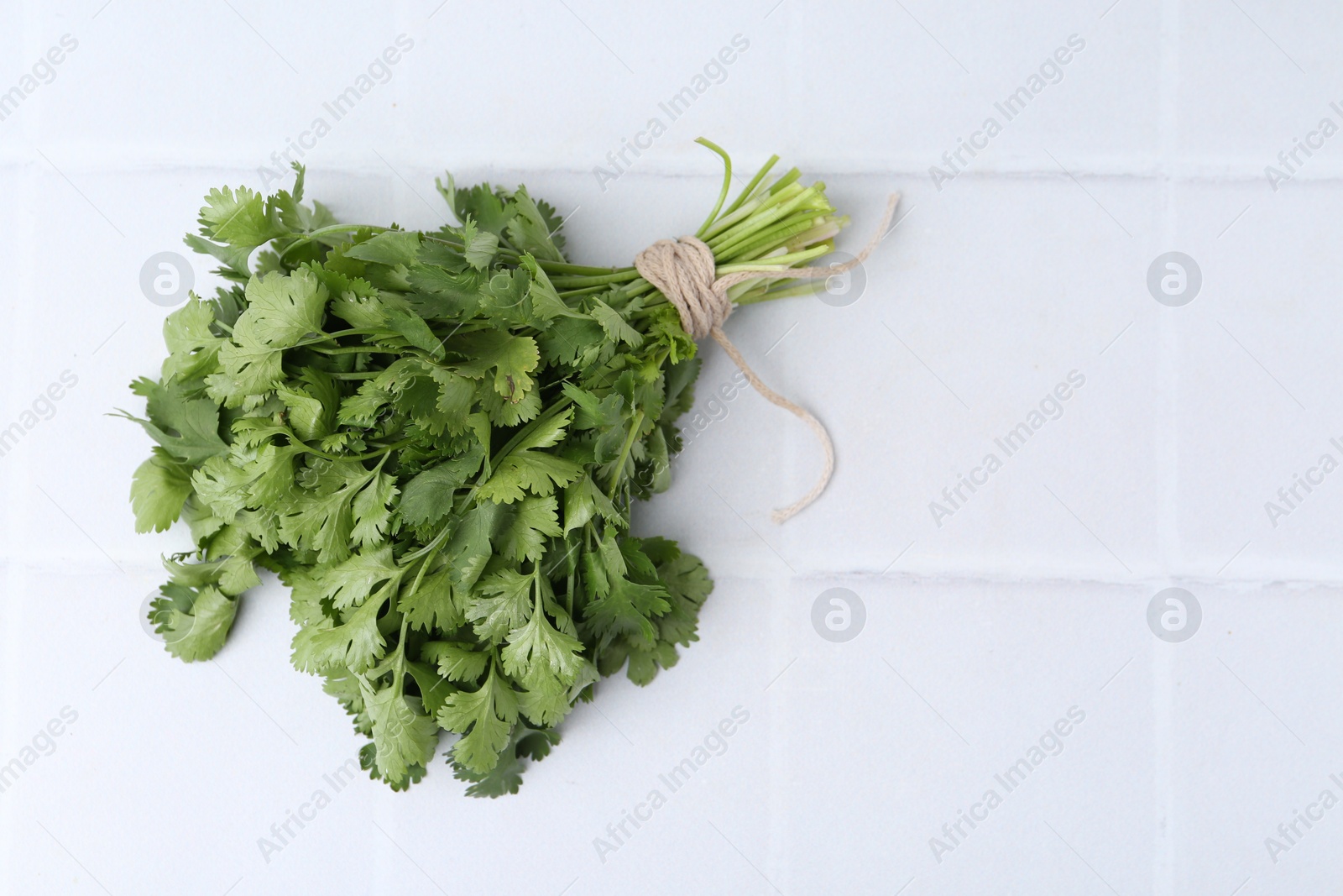 Bunch of fresh aromatic cilantro on white tiled table, top view. Space for text Photo of Bunch of fresh aromatic cilantro on white tiled table, top view. Space for text