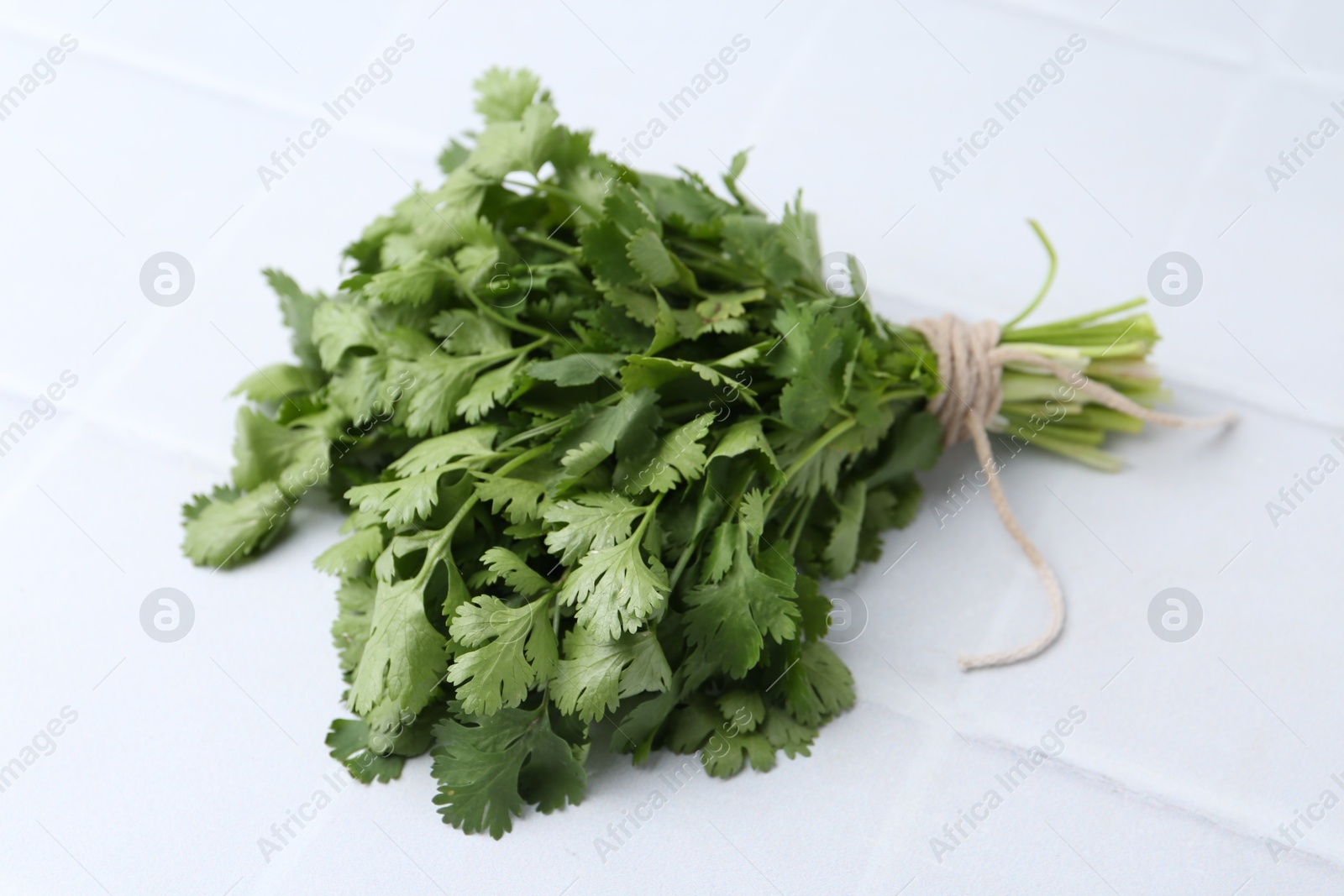 Bunch of fresh aromatic cilantro on white tiled table, closeup Photo of Bunch of fresh aromatic cilantro on white tiled table, closeup