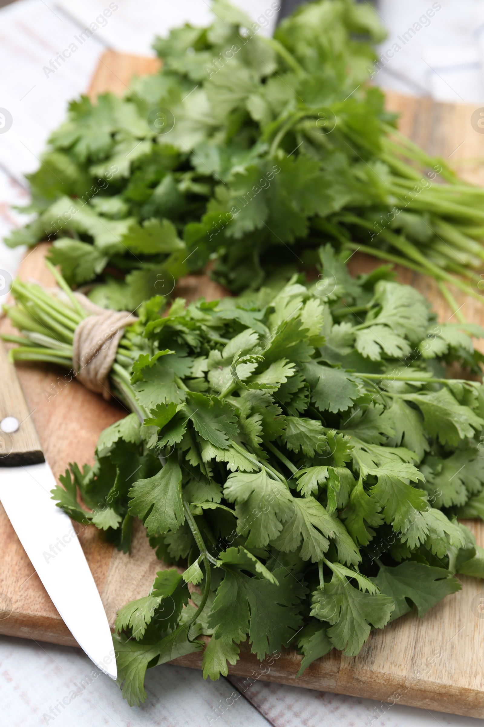 Cutting board with fresh cilantro and knife on white wooden table, closeup Photo of Cutting board with fresh cilantro and knife on white wooden table, closeup