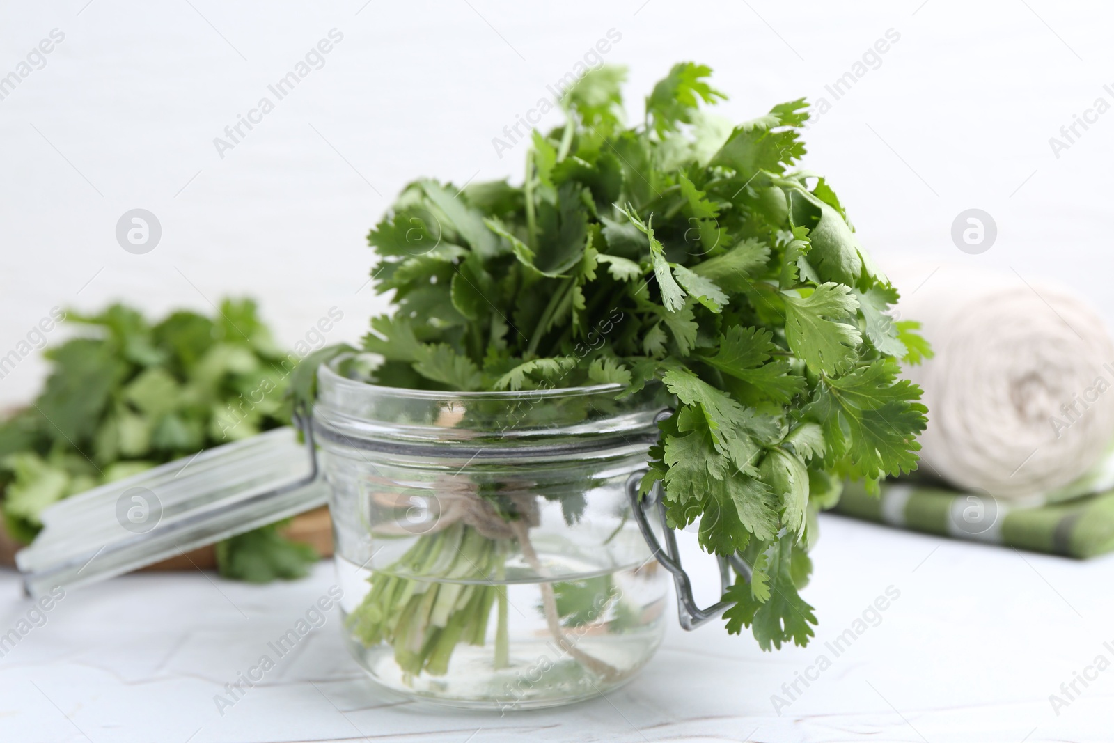 Fresh aromatic cilantro in jar on white table, closeup Photo of Fresh aromatic cilantro in jar on white table, closeup
