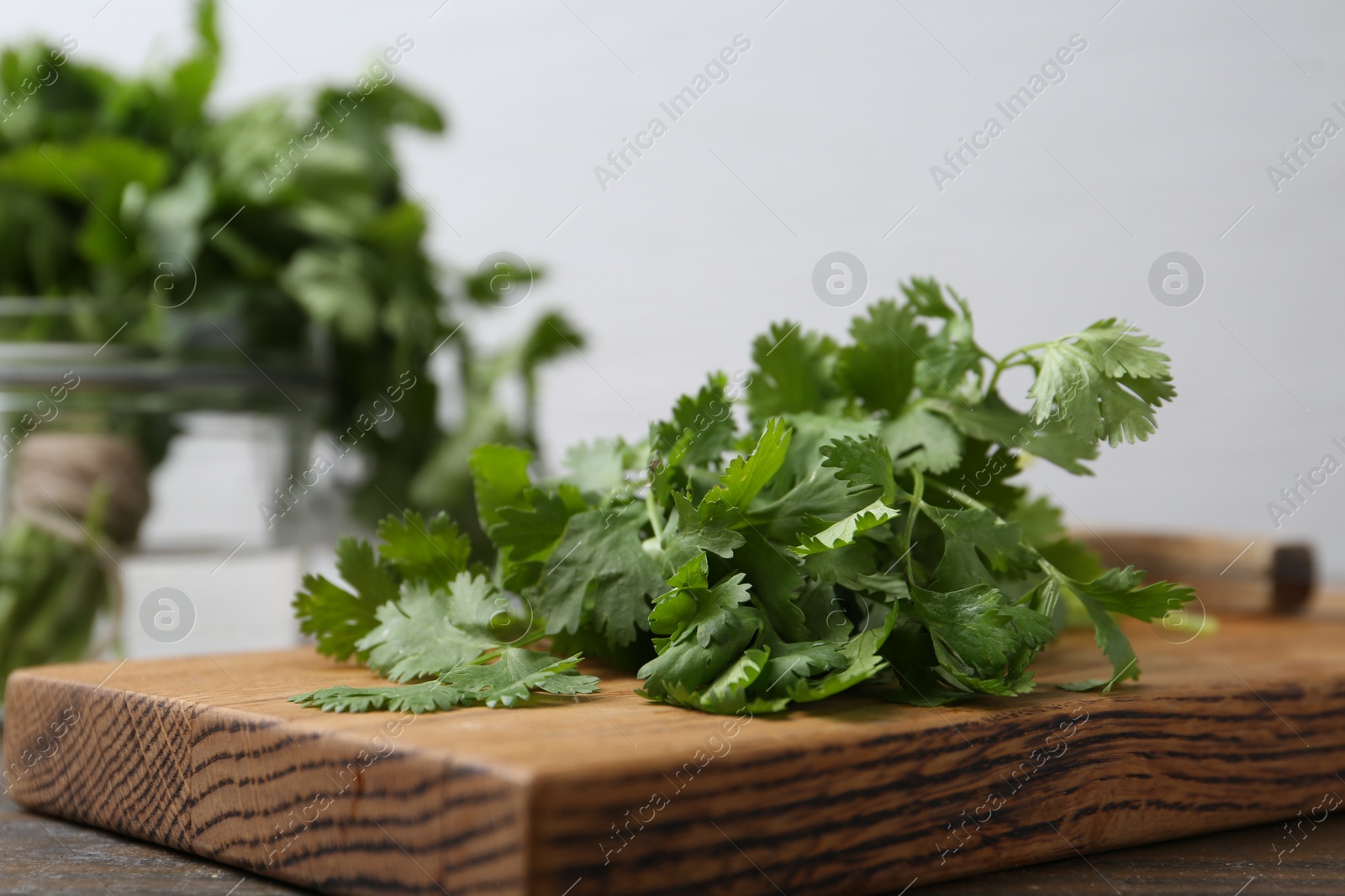 Fresh aromatic cilantro on wooden table, closeup Photo of Fresh aromatic cilantro on wooden table, closeup