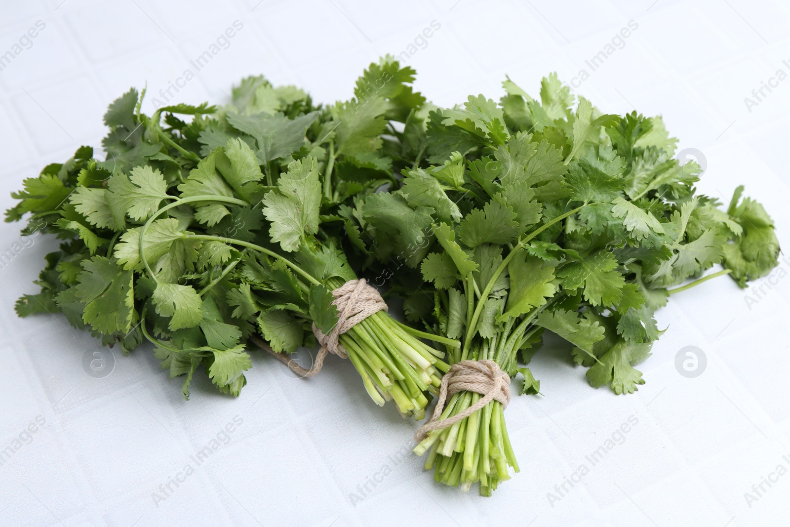 Photo of Fresh aromatic cilantro on white tiled table, closeup