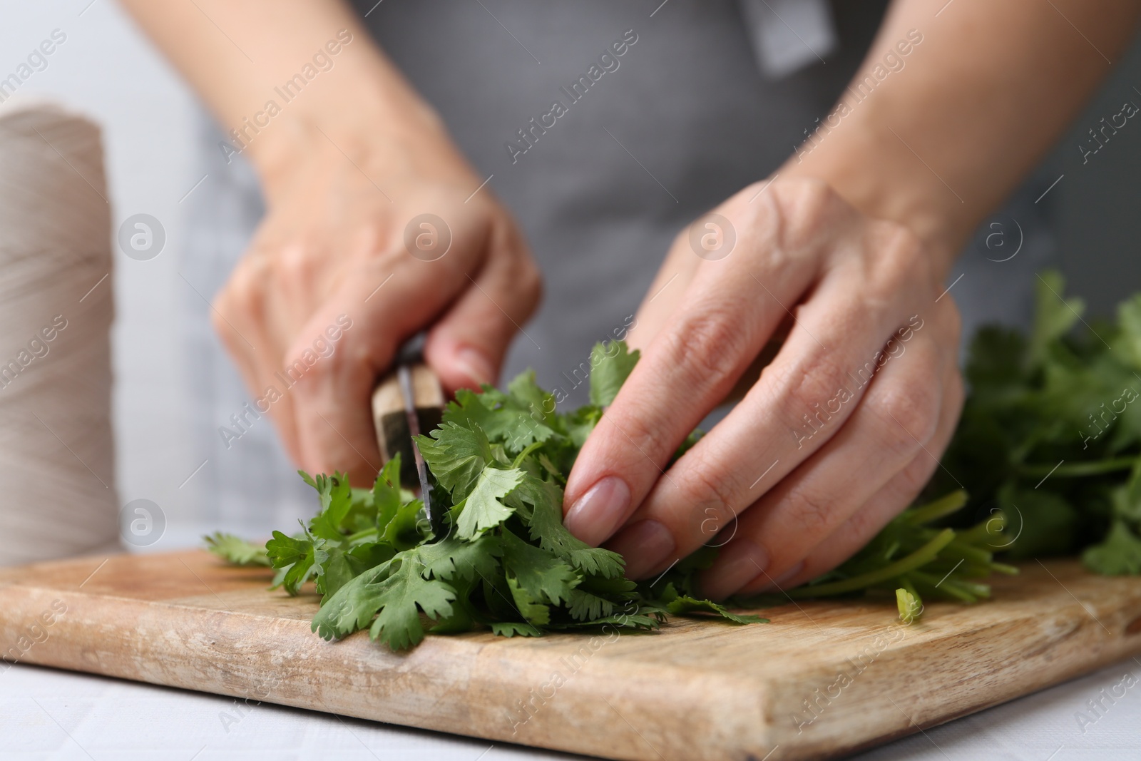 Photo of Woman cutting fresh cilantro at white table, closeup