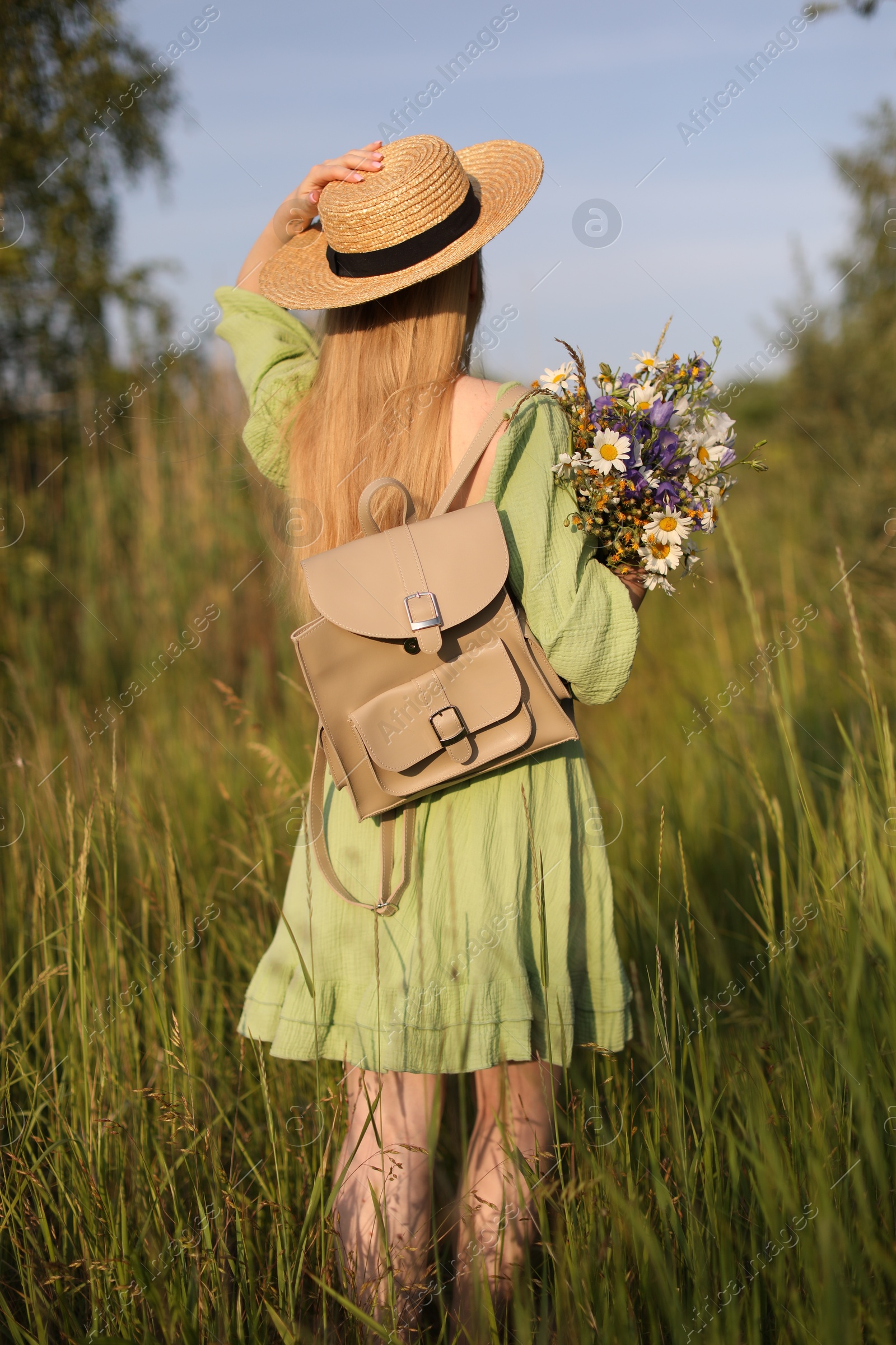 Woman with beautiful wildflowers, hat and backpack in meadow on sunny day, back view Photo of Woman with beautiful wildflowers, hat and backpack in meadow on sunny day, back view