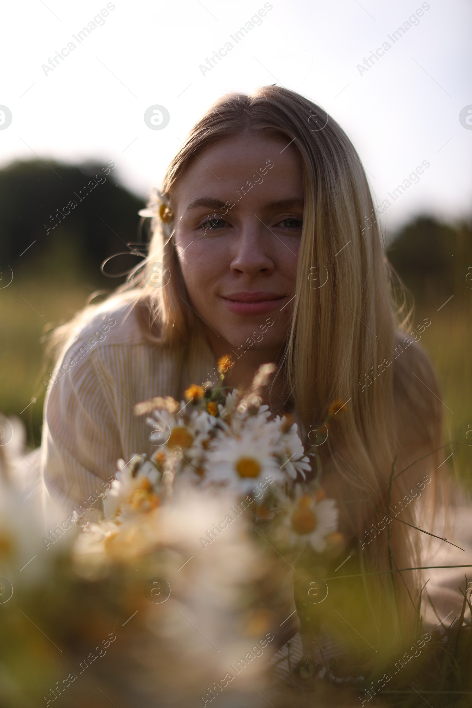 Beautiful woman with wildflowers in meadow on sunny day Photo of Beautiful woman with wildflowers in meadow on sunny day