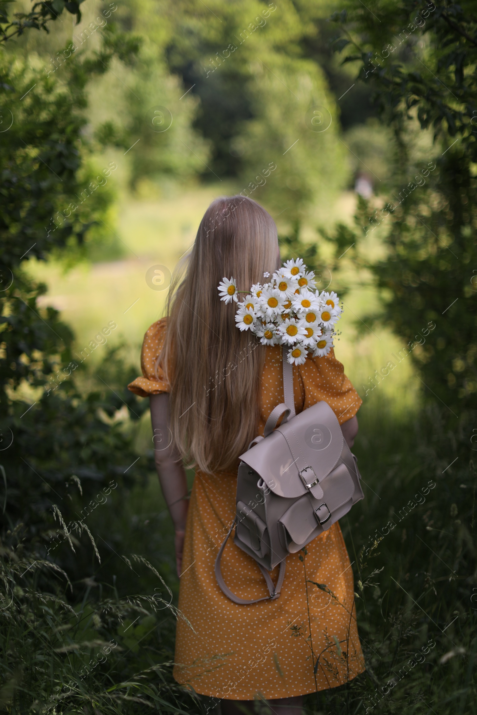 Beautiful woman with bouquet of wildflowers and backpack in forest, back view Photo of Beautiful woman with bouquet of wildflowers and backpack in forest, back view