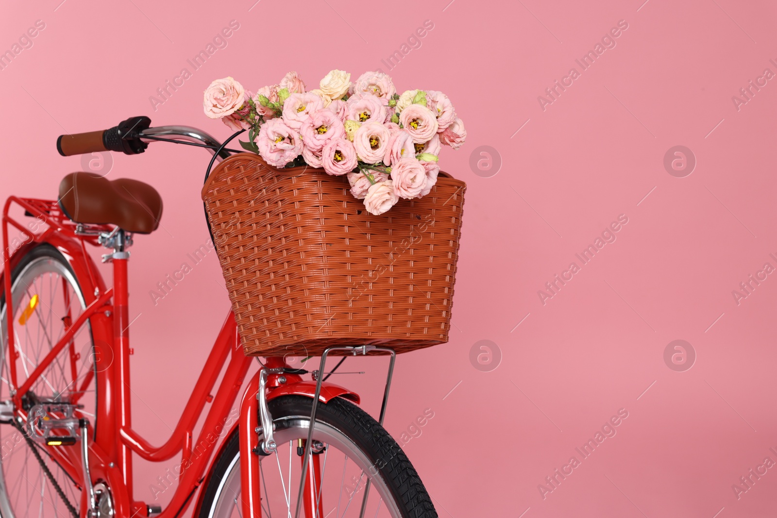 Bicycle with basket of beautiful flowers on pink background. Space for text Photo of Bicycle with basket of beautiful flowers on pink background. Space for text