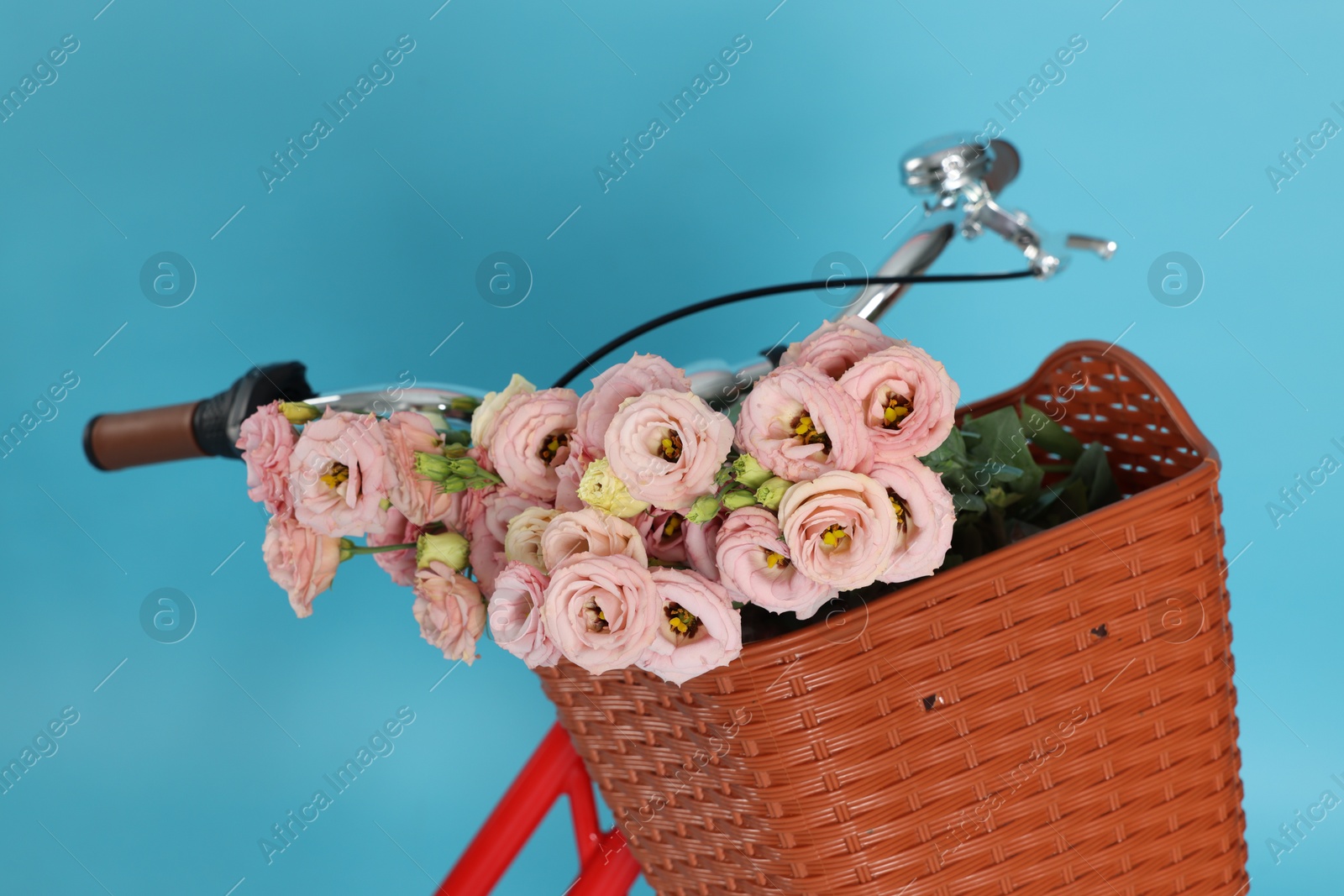 Bicycle with wicker basket of beautiful flowers on light blue background, closeup Photo of Bicycle with wicker basket of beautiful flowers on light blue background, closeup