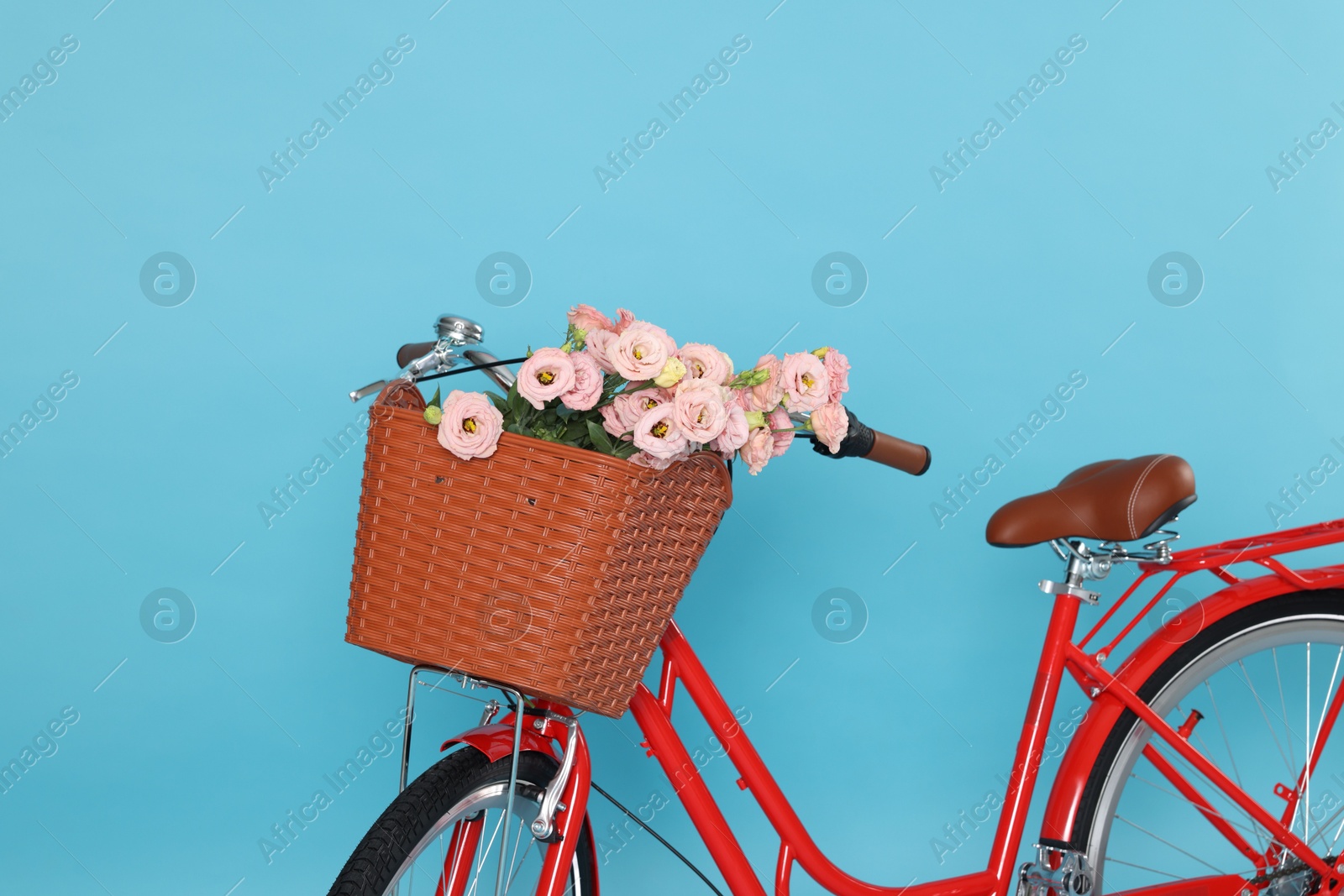 Bicycle with basket of beautiful flowers on light blue background Photo of Bicycle with basket of beautiful flowers on light blue background