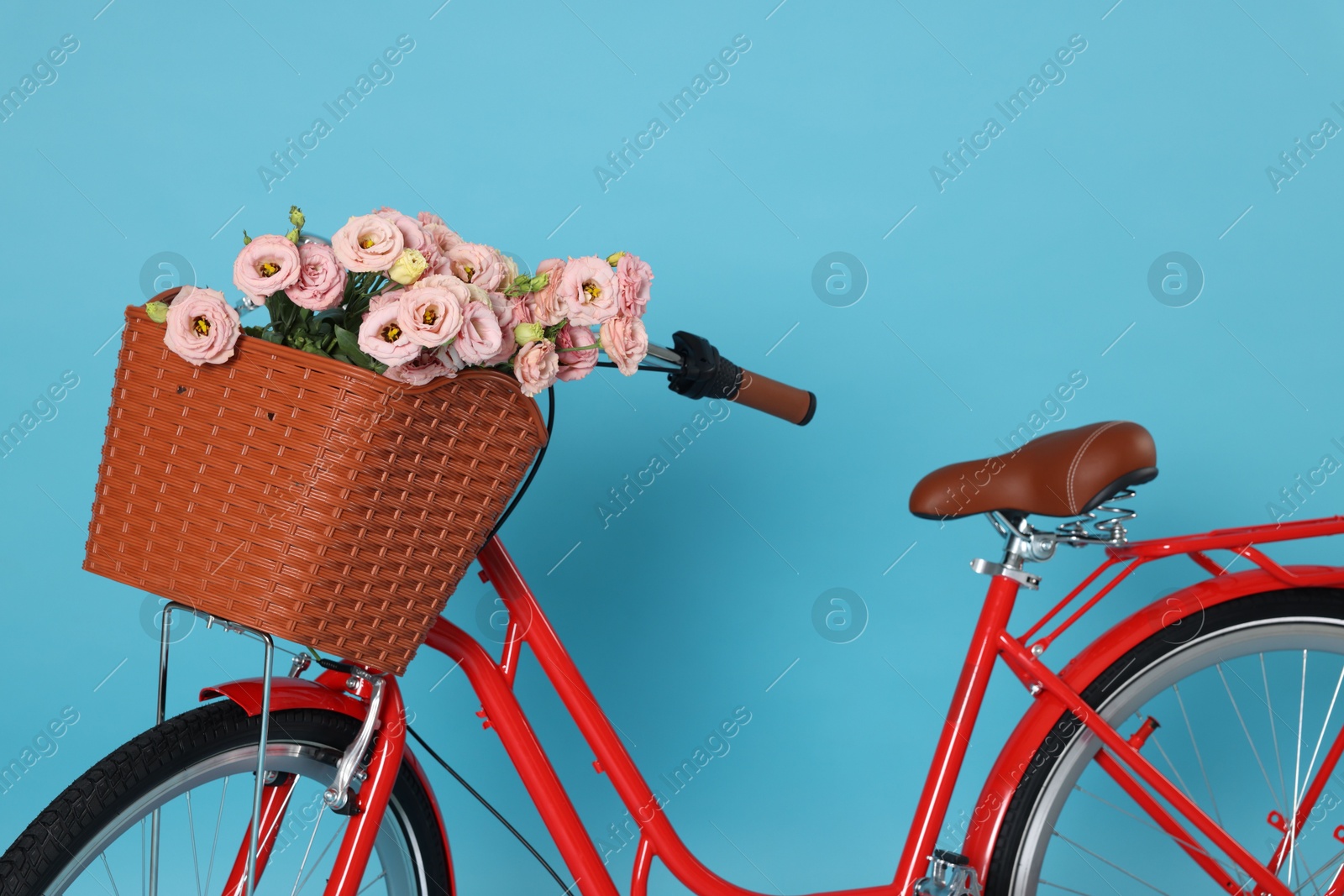 Bicycle with basket of beautiful flowers on light blue background Photo of Bicycle with basket of beautiful flowers on light blue background