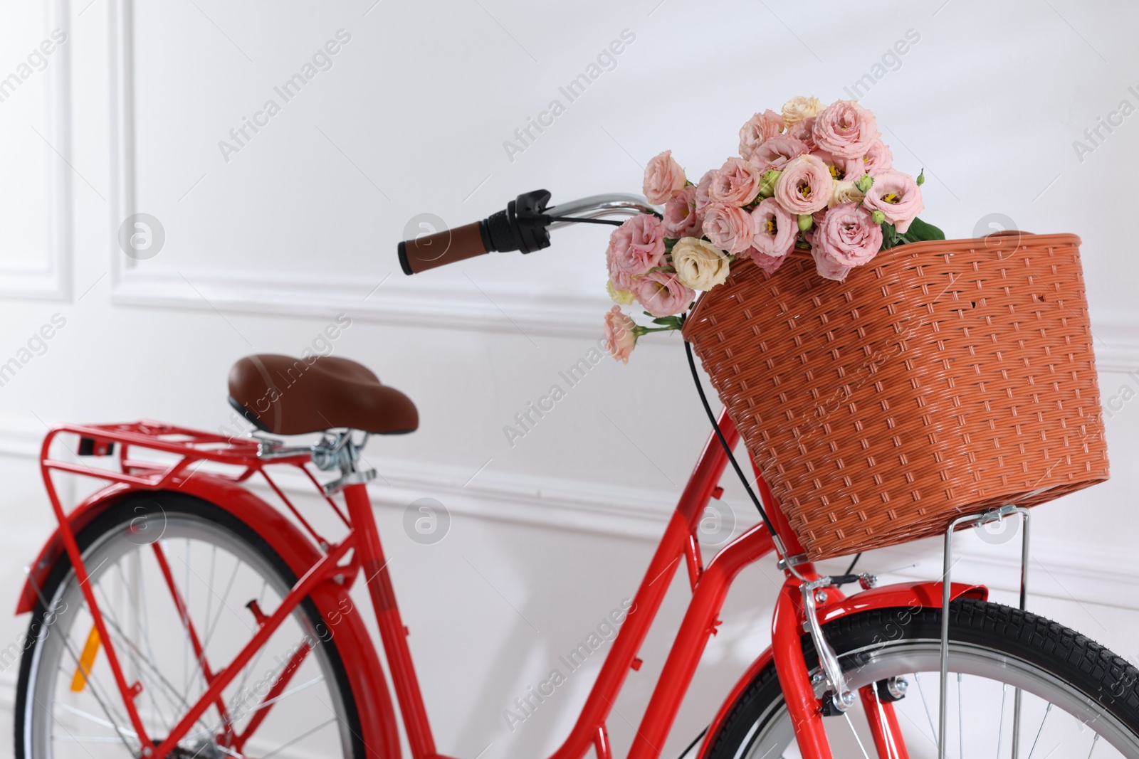 Photo of Bicycle with basket of beautiful flowers near white wall indoors, closeup