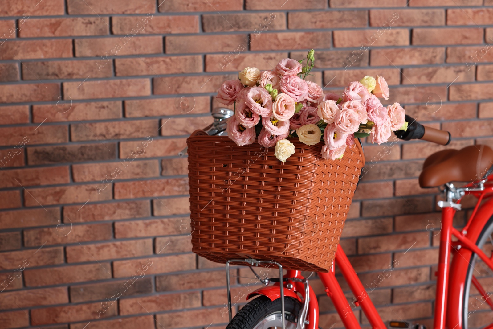 Bicycle with basket of beautiful flowers near brick wall indoors, closeup. Space for text Photo of Bicycle with basket of beautiful flowers near brick wall indoors, closeup. Space for text