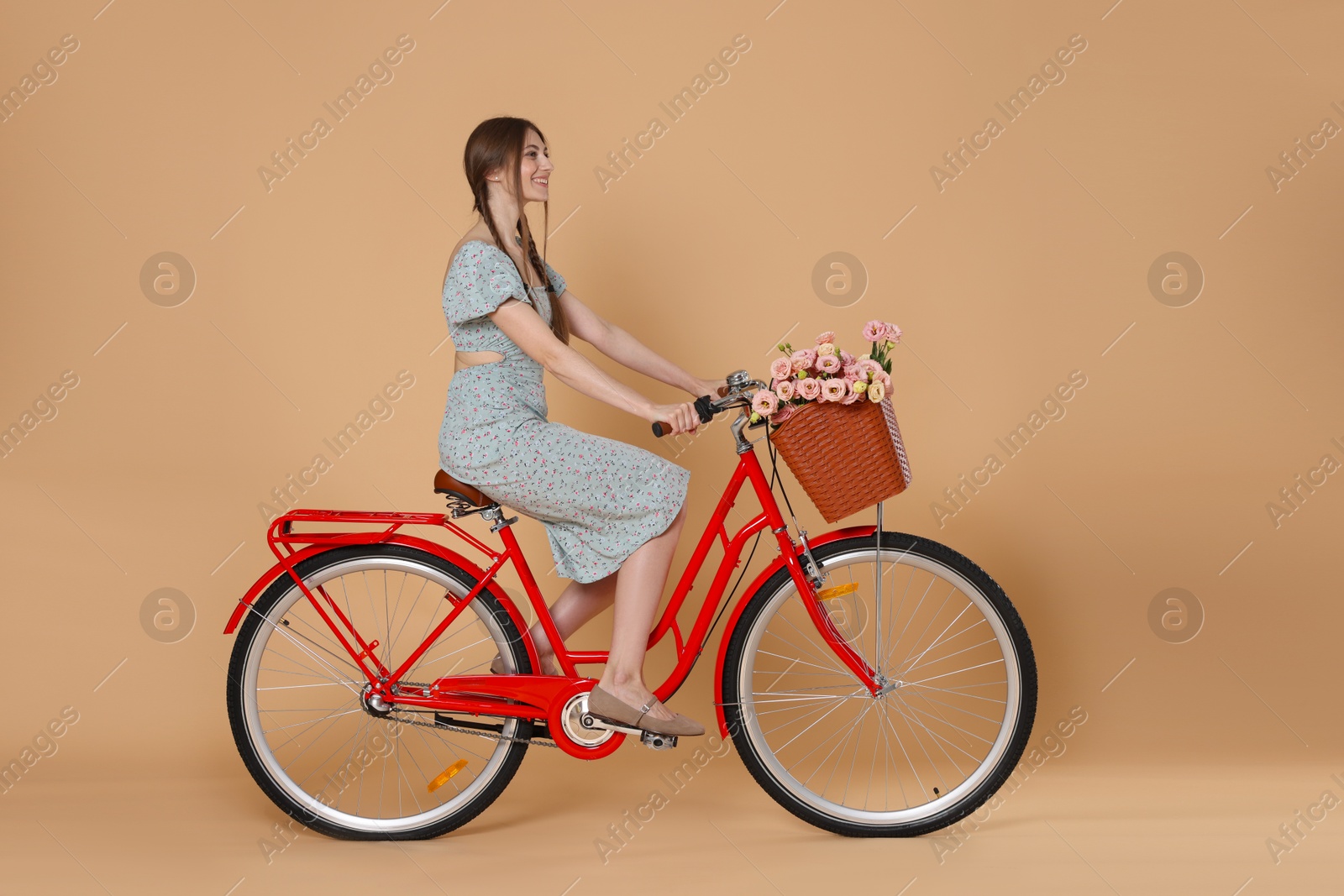 Smiling woman in dress riding bicycle with basket of flowers on beige background Photo of Smiling woman in dress riding bicycle with basket of flowers on beige background
