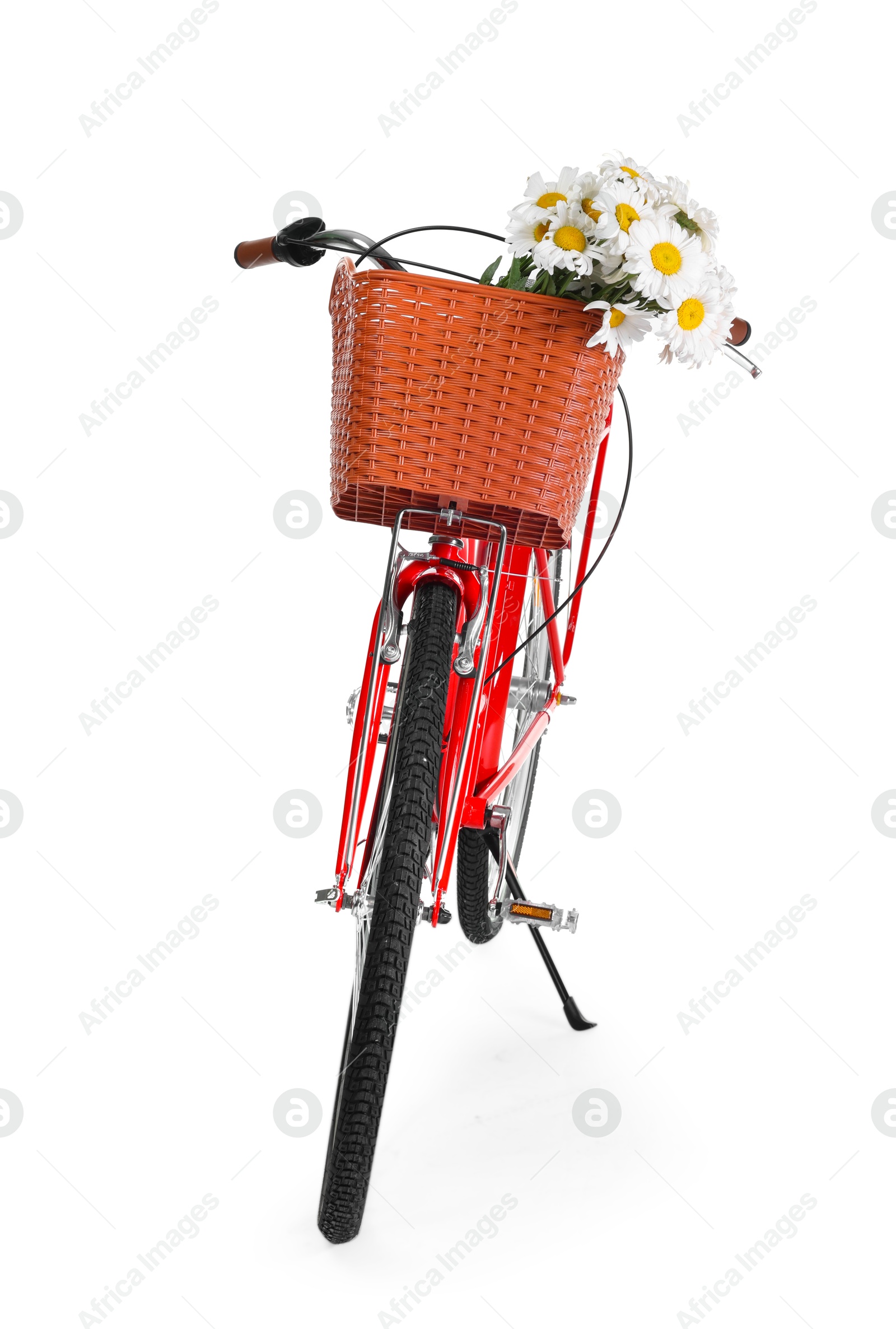 Bicycle with basket of beautiful flowers isolated on white Photo of Bicycle with basket of beautiful flowers isolated on white