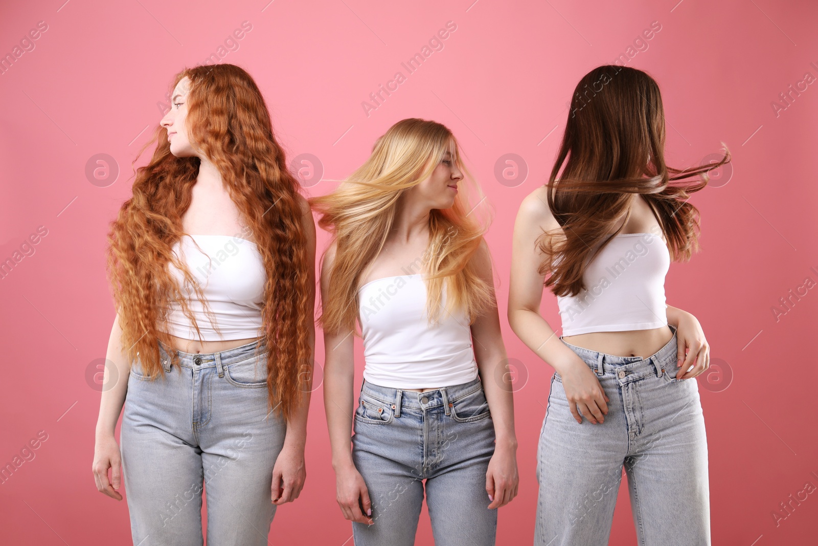Beautiful women with different hair colors on pink background Photo of Beautiful women with different hair colors on pink background