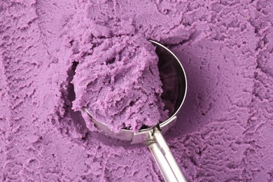 Photo of Tasty blueberry sorbet and metal scoop, top view