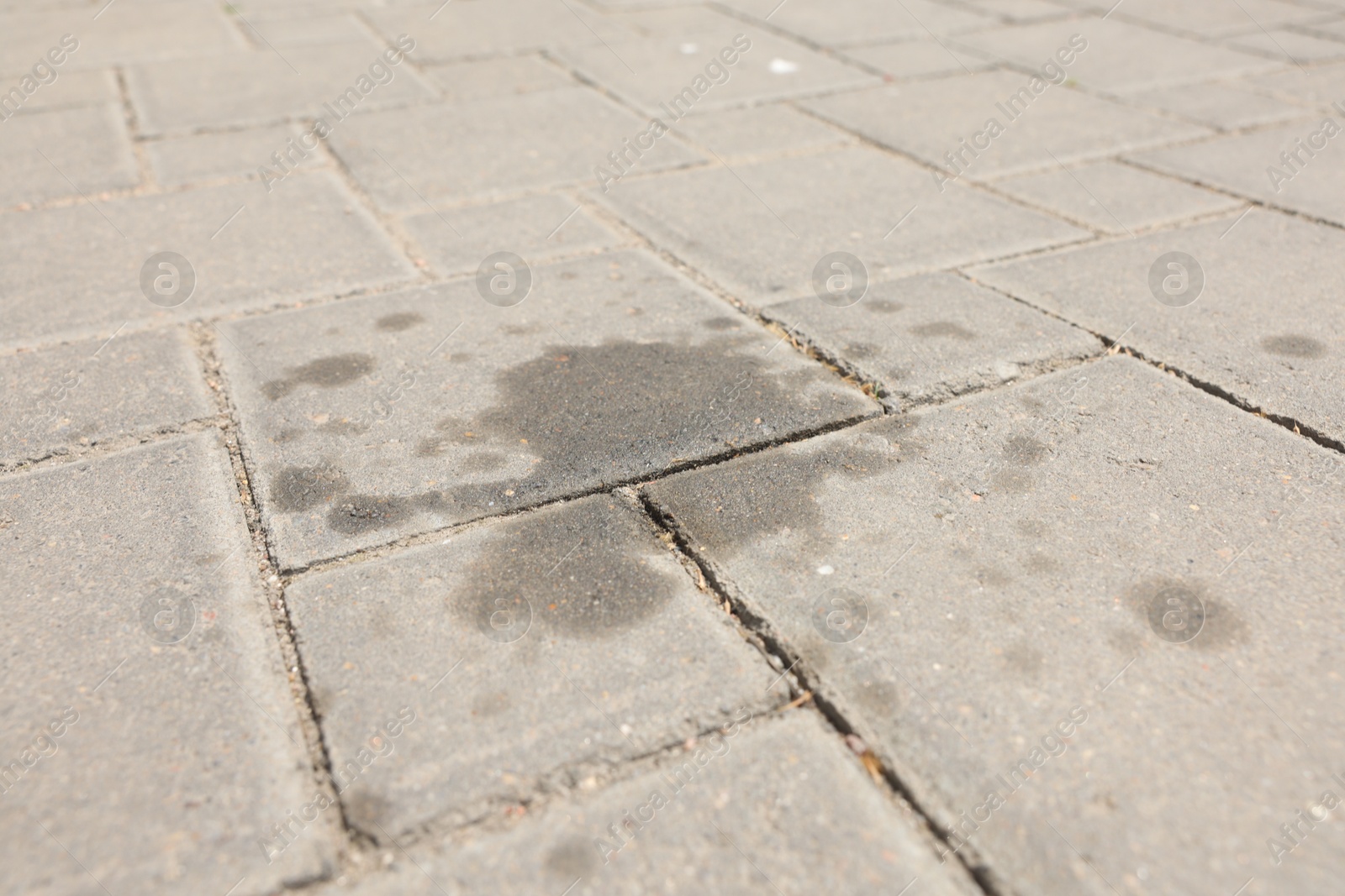 Stains of motor oil on paved road outdoors, closeup Photo of Stains of motor oil on paved road outdoors, closeup