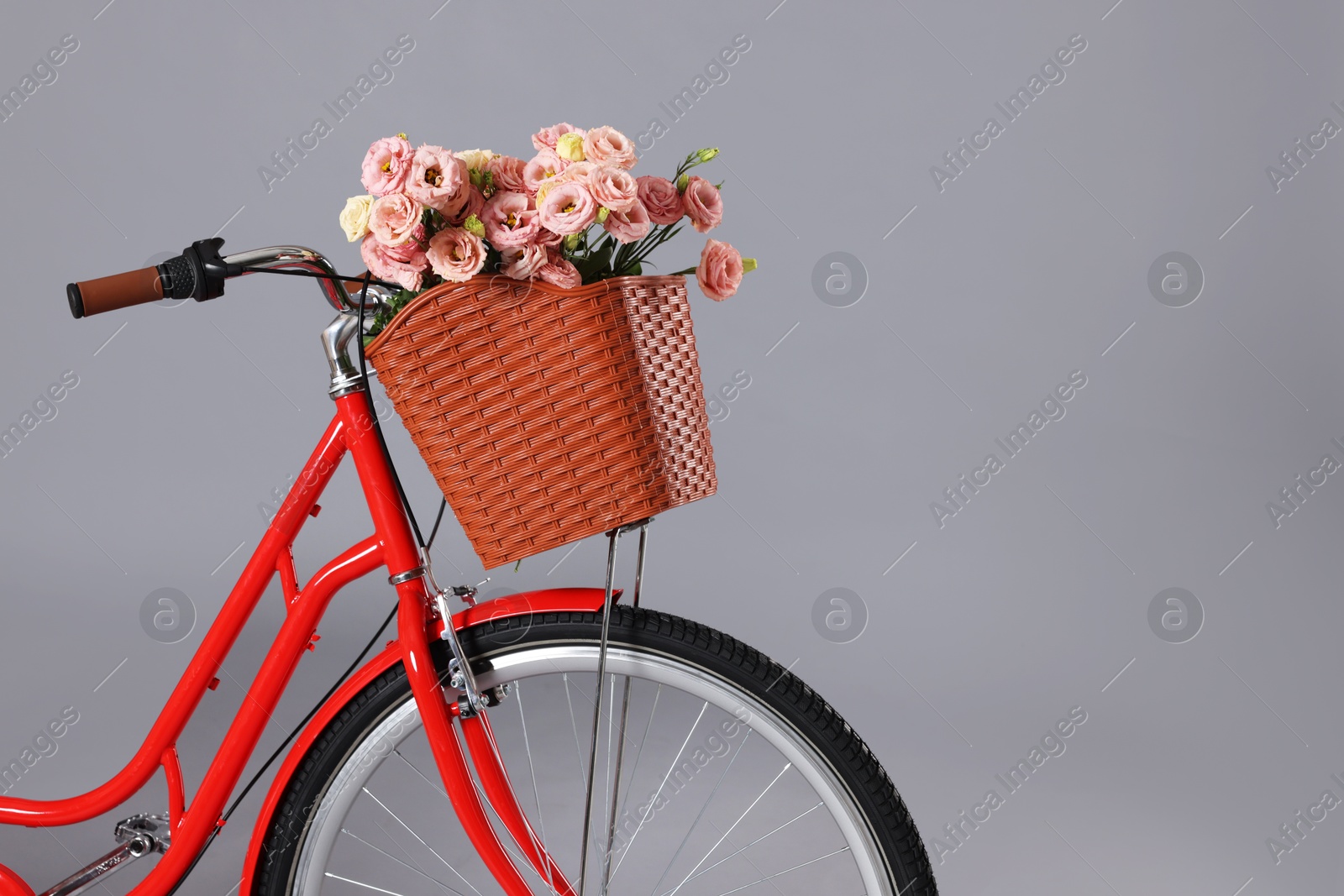 Photo of Bicycle with basket of beautiful flowers on grey background, closeup. Space for text