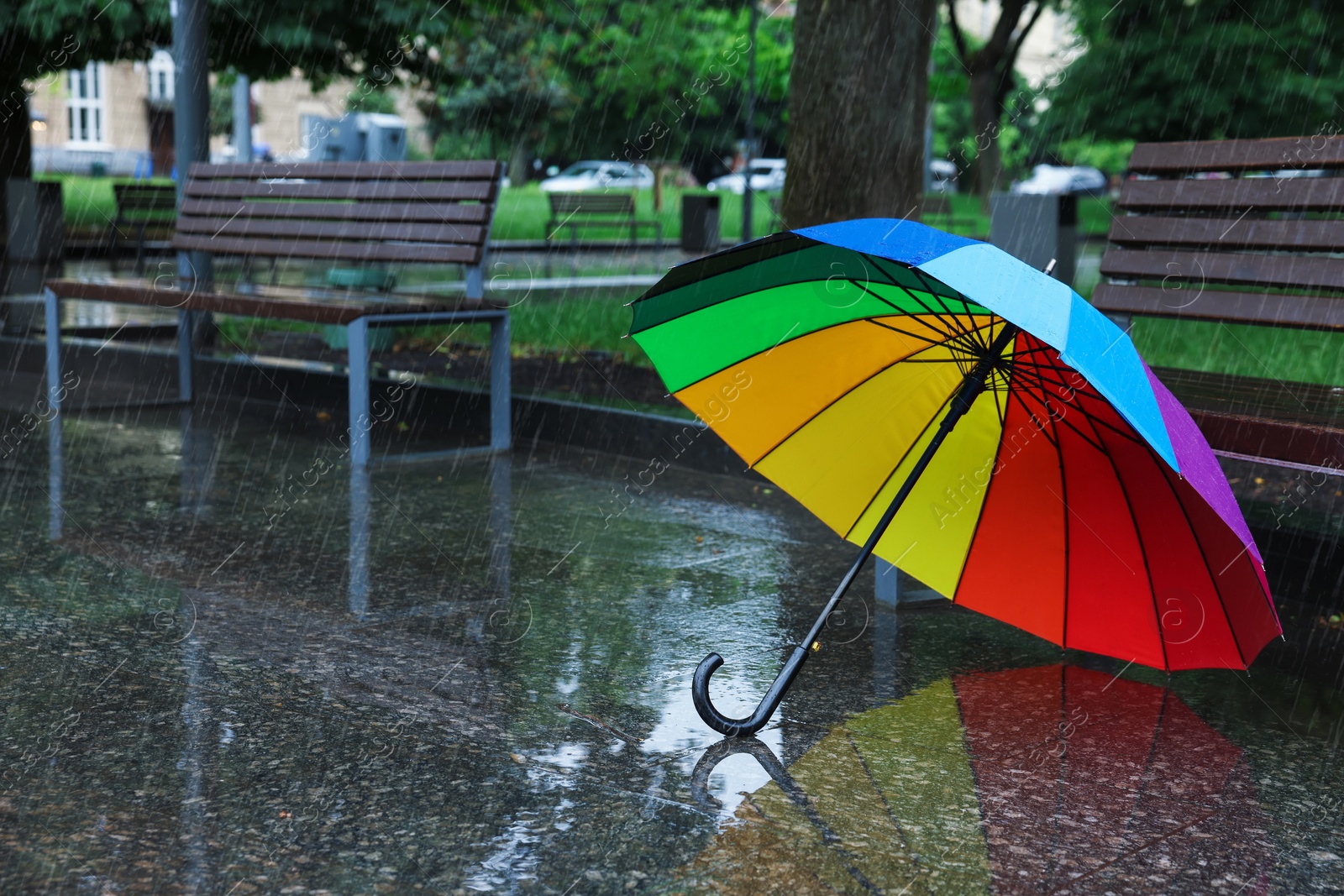 Photo of Colorful umbrella on wet asphalt outdoors, space for text