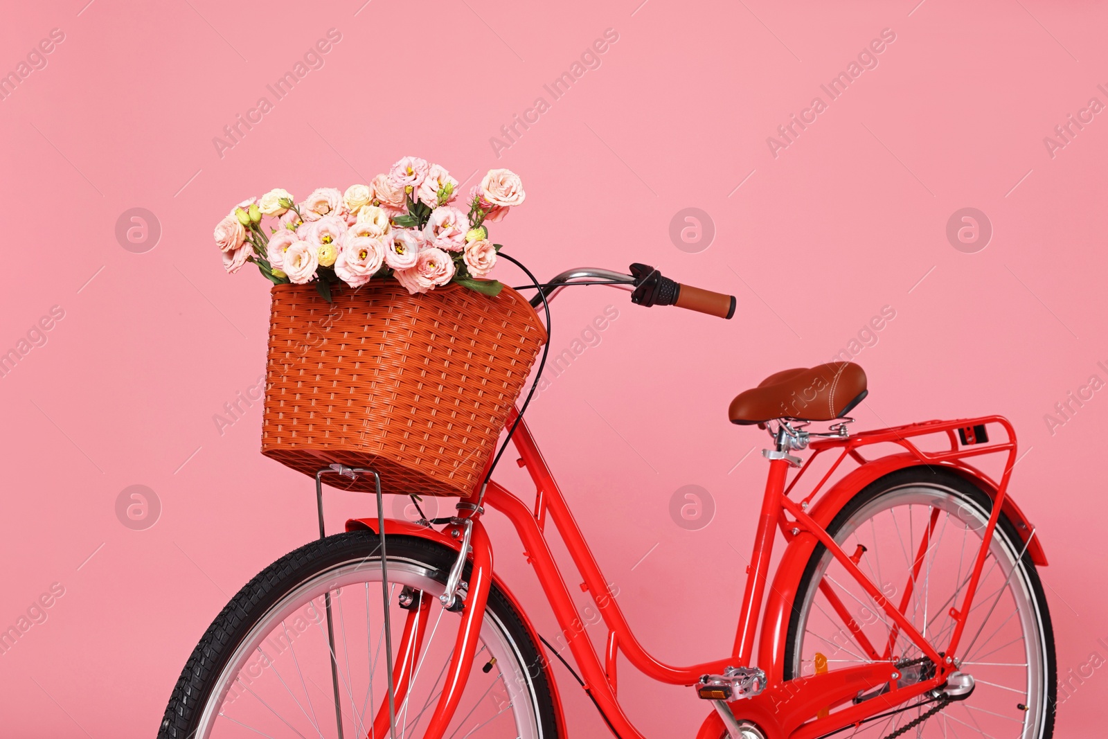 Bicycle with basket of beautiful flowers on pink background Photo of Bicycle with basket of beautiful flowers on pink background
