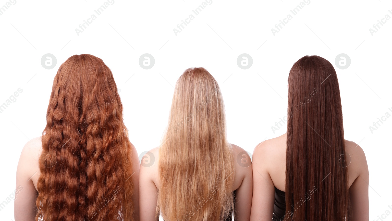Women with different hair colors on white background, back view Photo of Women with different hair colors on white background, back view