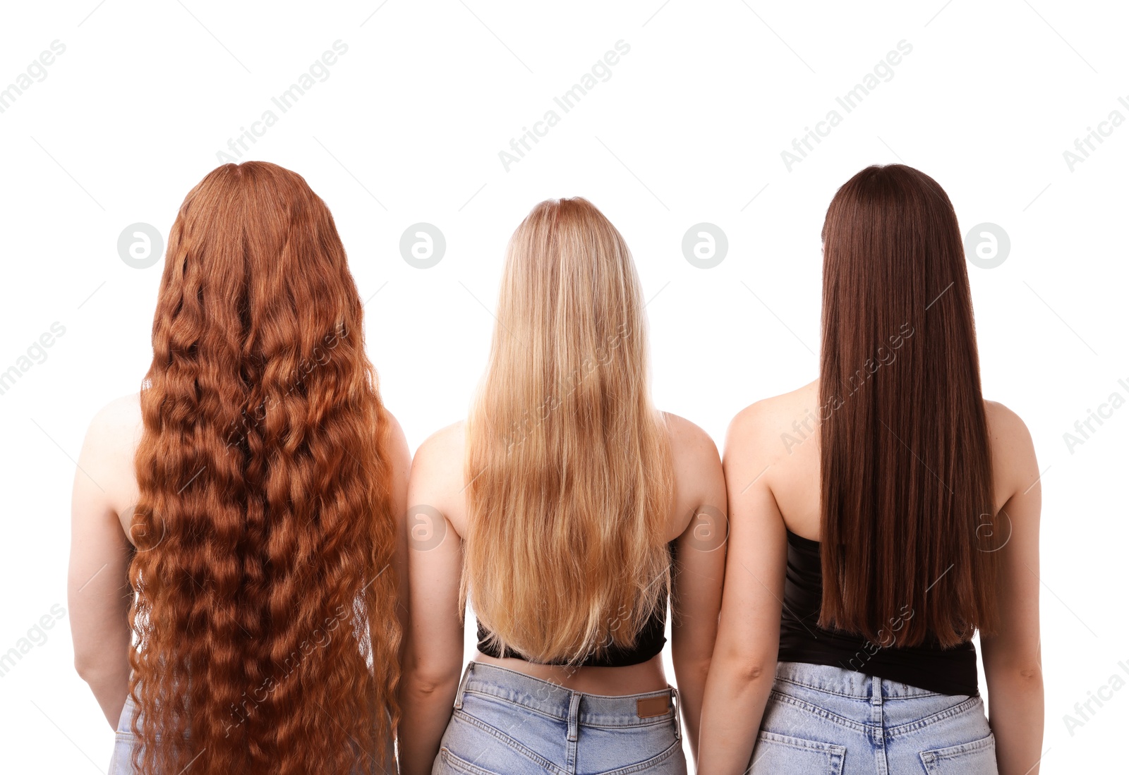 Women with different hair colors on white background, back view Photo of Women with different hair colors on white background, back view