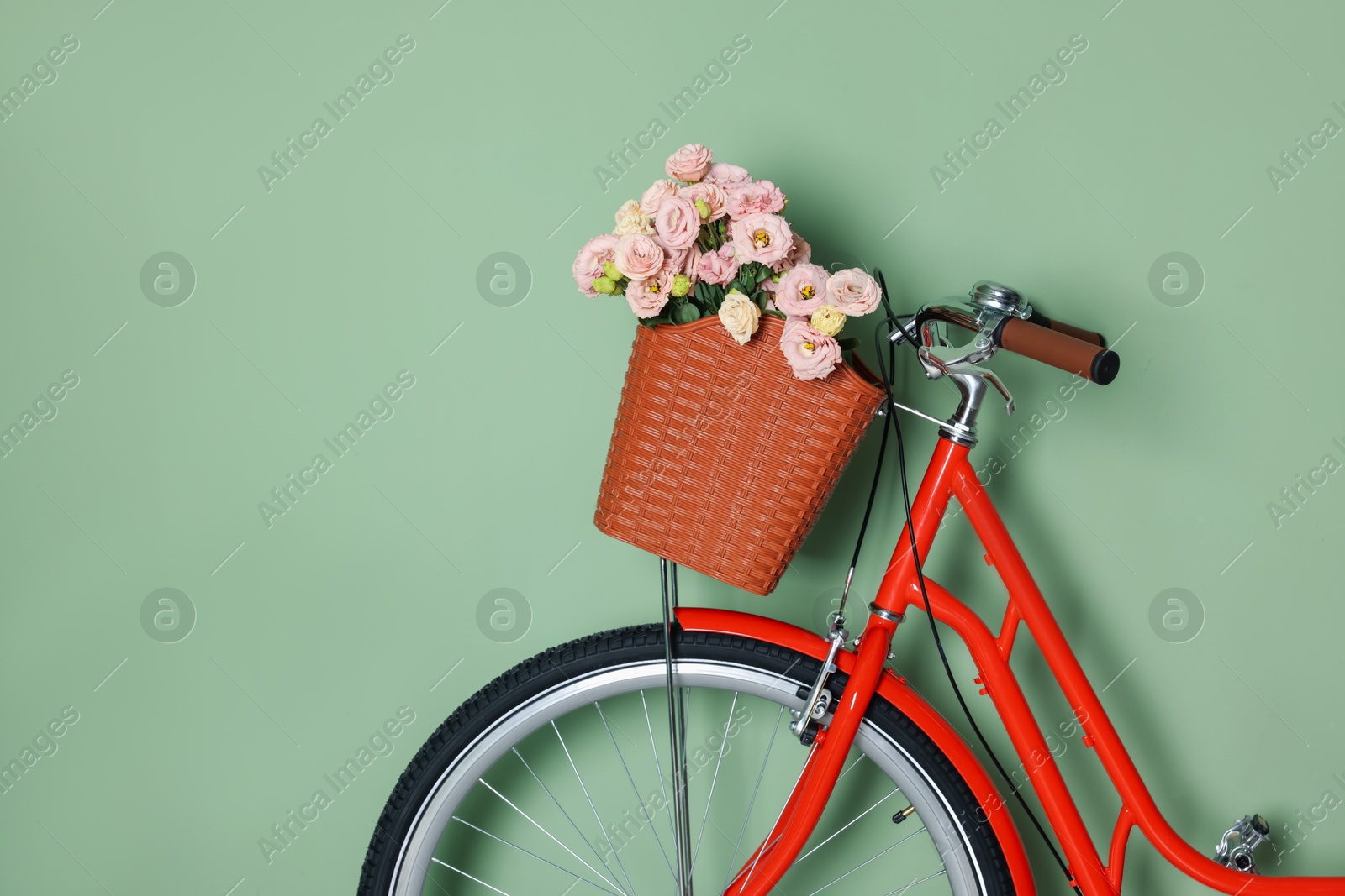 Bicycle with basket of beautiful flowers near light green wall indoors, closeup. Space for text Photo of Bicycle with basket of beautiful flowers near light green wall indoors, closeup. Space for text